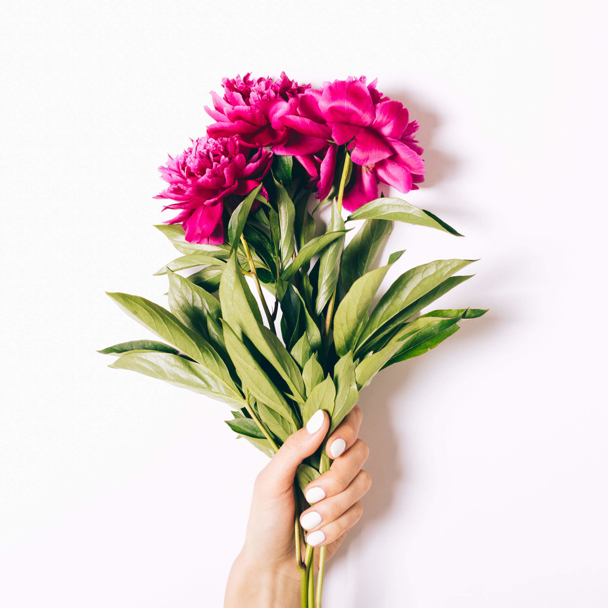 Read more about the article TEST DRIVE: GEL NAILS AT HOME